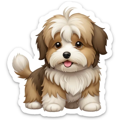 Tan havanese dog sticker