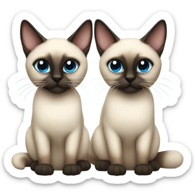 Two Siamese cats, one very fluffy  sticker