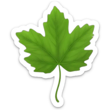 Une feuille d’érable japonais verte sticker