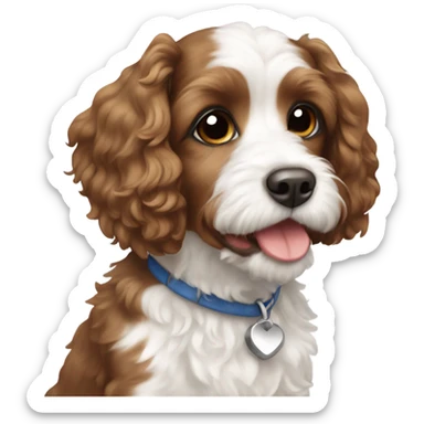 brown and white cavoodle  sticker
