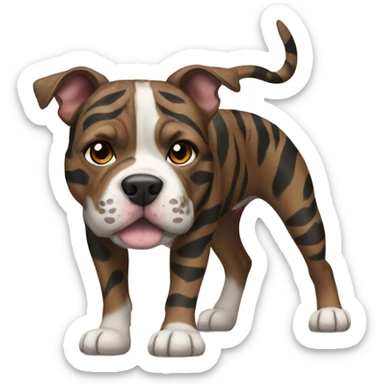 pitbull terrier dark brindle tiger stripes sticker