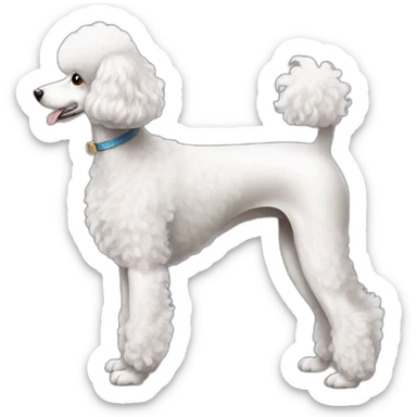 Dog Standart Poodle full body sticker