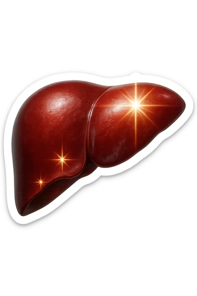 fegato realistico con scintille di brillantezza 3d sticker