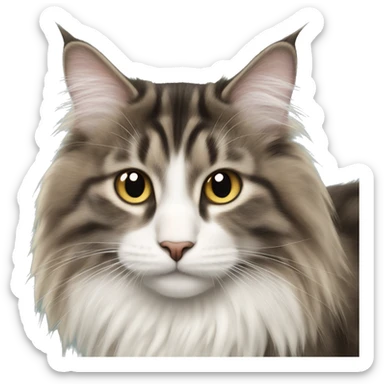 Norwegian forest cat sticker