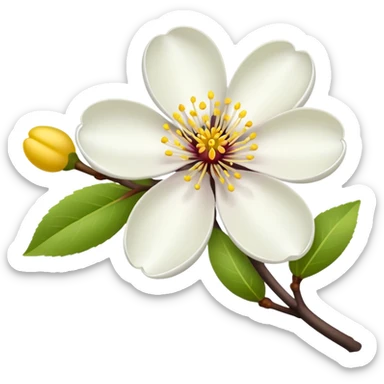 plum blossom flower sticker