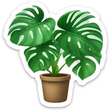 Monstera plant sticker