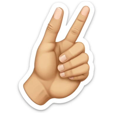 🖕+👊 sticker