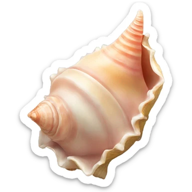 Queen conch shell  sticker