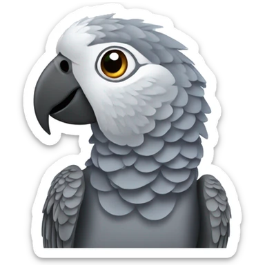 African grey parrot sticker