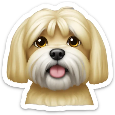 Blonde shitzu sticker