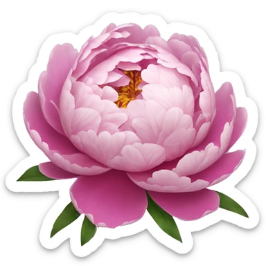 Peony sticker