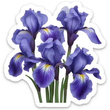 Bouquet of irises sticker