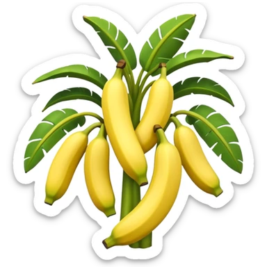 A 3D cartoon banana plant with large green leaves and a bunch of bananas growing downward, natural lighting, Memoji-style. sticker