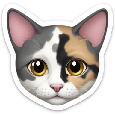 senior round diluted calico cat, white chin, black and pink nose, grey ears, grey and white sticker