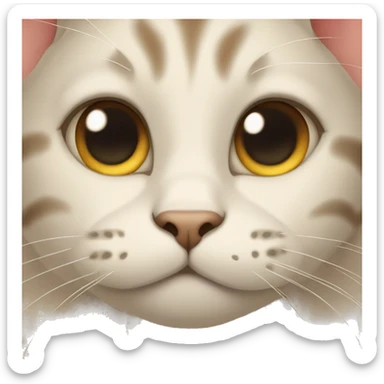 cat with wrinkles sticker