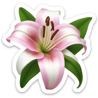 pink and white lily flower sticker