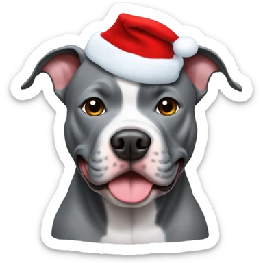 grey pitbull with chritsmas cap sticker