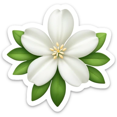 Jasmine white flower sticker