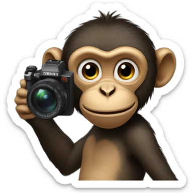 Monkey holding camera pointed towards camera sticker