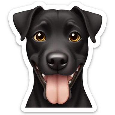 A black Patterdale Terrier dog with a white patch on its chest and brown eyes.  sticker