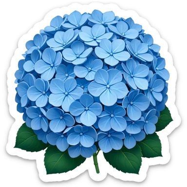 Blue hydrangeas sticker