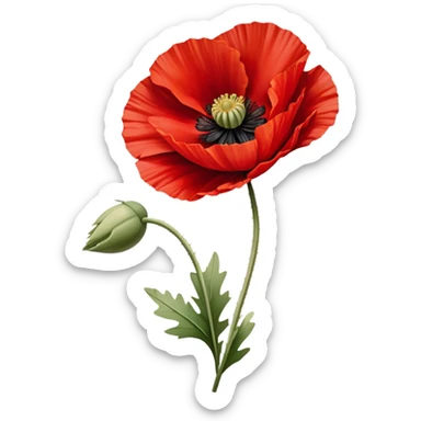 A vibrant red poppy in full bloom, its petals slightly ruffled by the wind. The rich scarlet hue contrasts beautifully with a soft beige linen backdrop. sticker
