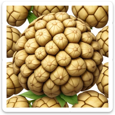 Jerusalem Artichoke  sticker