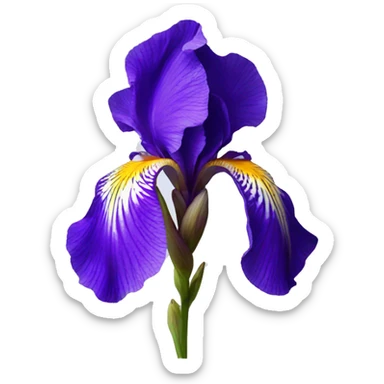 iris flower sticker