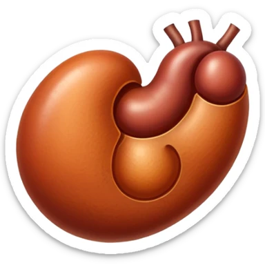 kidney sticker