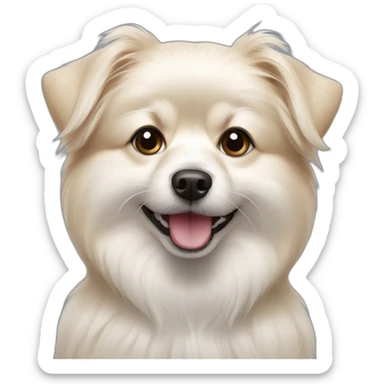 maltese-pomeranian-mix-dog sticker