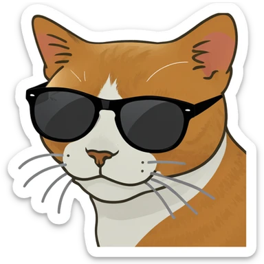 Cat with sunglasses sticker