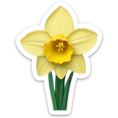 Daffodil  sticker