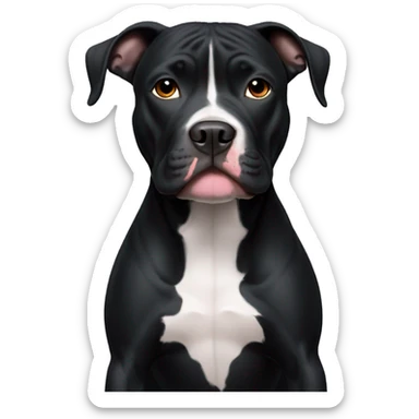 all black pitbull with whie chest sticker
