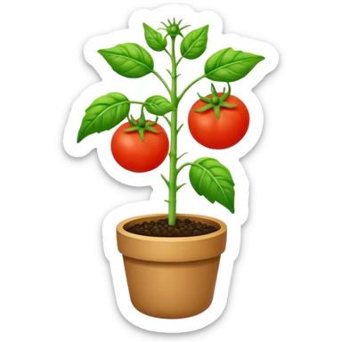 realistic tomato seedling sticker