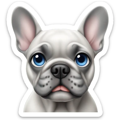grey french bulldog blue eyes sticker