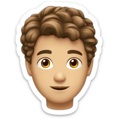 un garçon français cheveux brun yeux bruns sticker