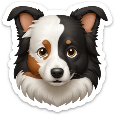 border collie preto e branco fotografo 
 sticker