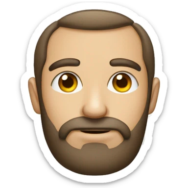 jovem advogado barba bem feita moreno olhos cor de mel sticker