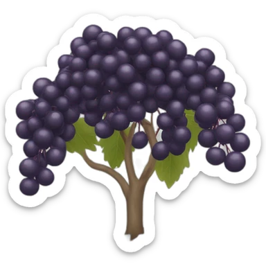 Elderberry sticker