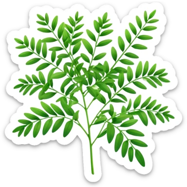 Rue herb sticker