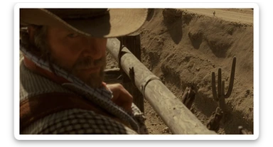 Cinematic , documentary photography, top angle medium shot, cowboy look eye brave, hard light golden hour, desert arizona, shot on IMAX Camera, 80s movie sticker