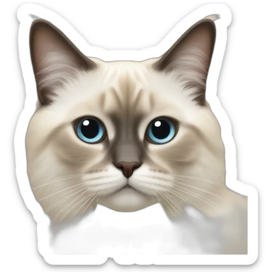 Chat sacré de Birmanie  sticker