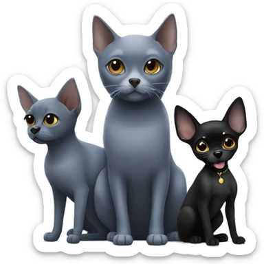 a big russian blue cat and two small black chihuahuas sticker