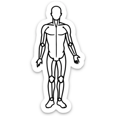 human body silhouette, standing, anatomical illustration sticker