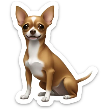 Brown chihuahua on island  sticker