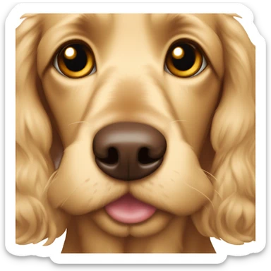 Blonde cocker spaniel Brown n'ose smiling sticker