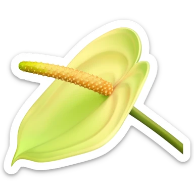 Anthurium andraeanum sticker