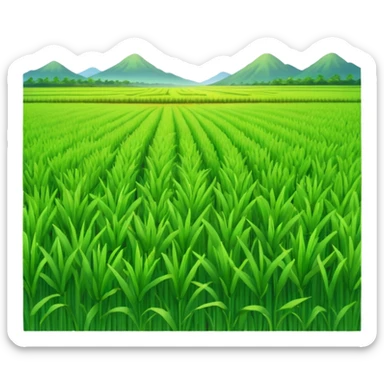 rice field sticker