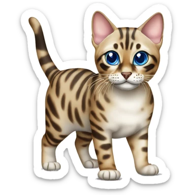 Seal Bengal cat with Blue eyes standing sticker