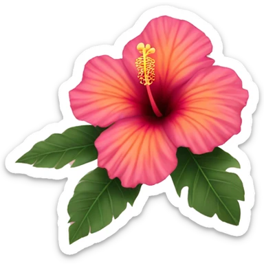 One pink hibiscus flower with a little bit of orange without leaves sticker